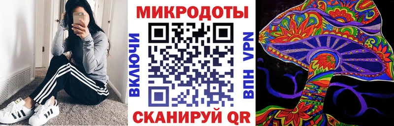 Псилоцибиновые грибы MAGIC MUSHROOMS  как найти закладки  Бологое 